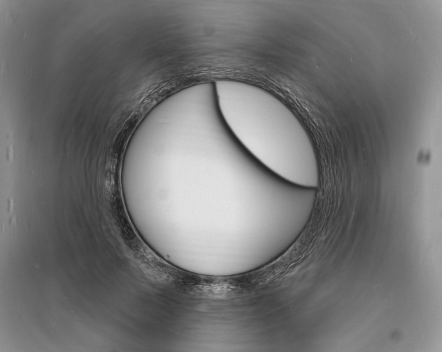 X0000096390695200801241117