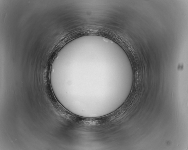 X0000096390698200801241117