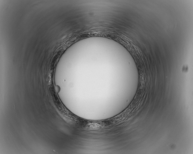 X0000096390703200801241117