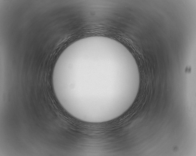 X0000096390705200801241117