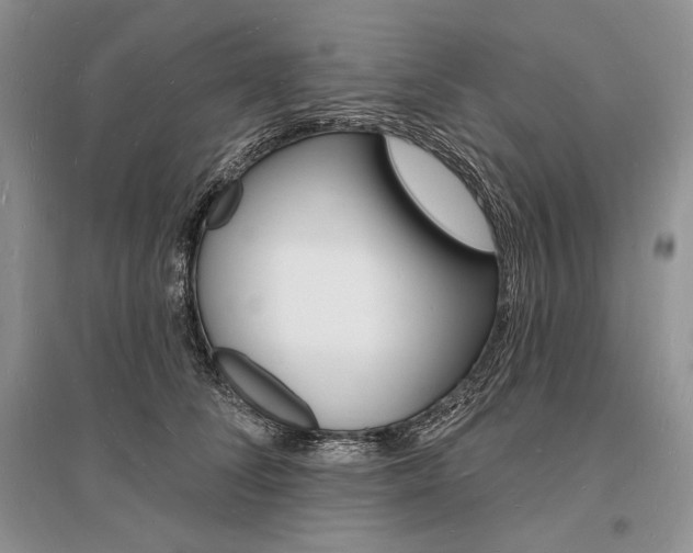 X0000096390708200801241117