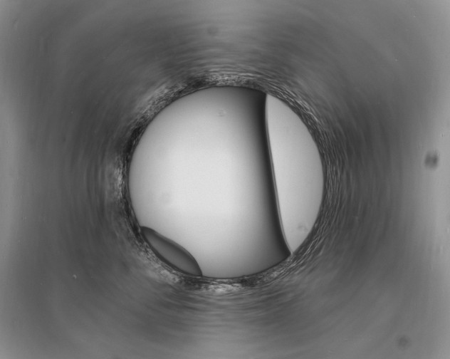 X0000096390716200801241117