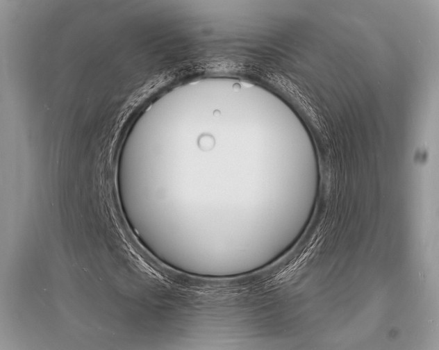 X0000096390721200801241116