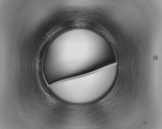 X0000096390722200801241116