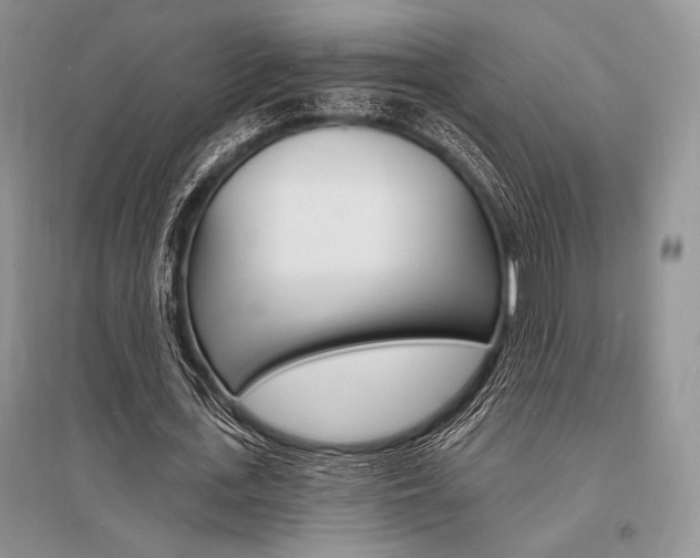 X0000096390723200801241116