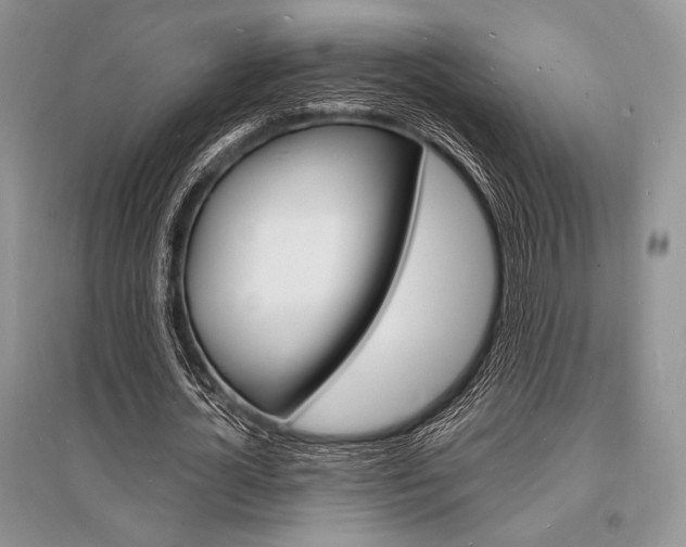 X0000096390724200801241116