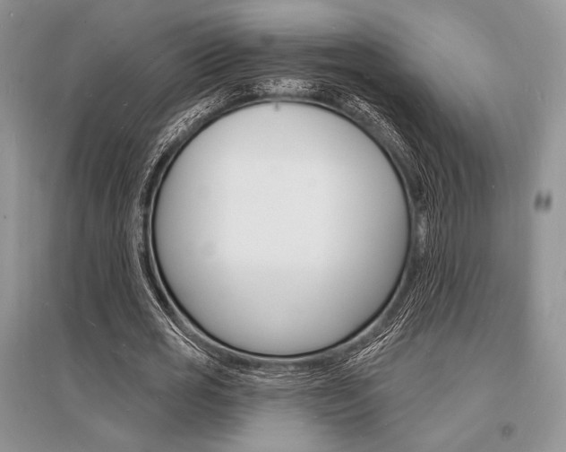X0000096390725200801241116