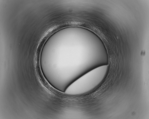 X0000096390726200801241116