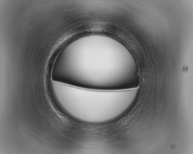 X0000096390728200801241116
