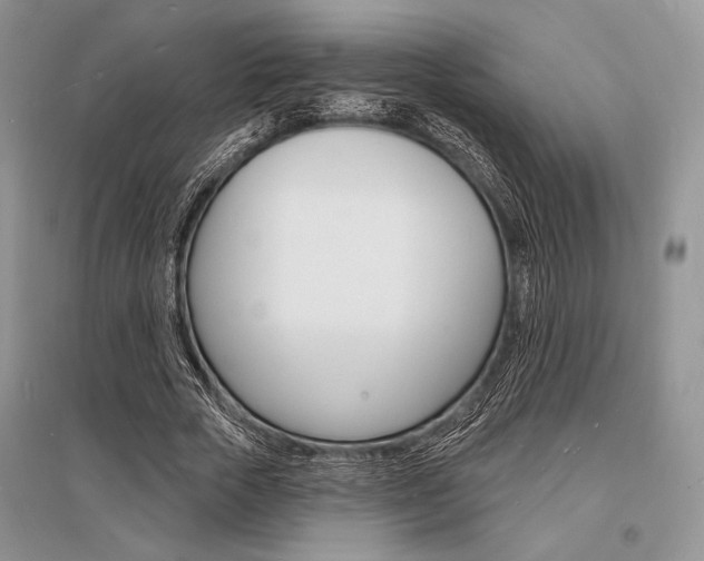 X0000096390729200801241116