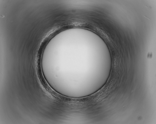 X0000096390730200801241116