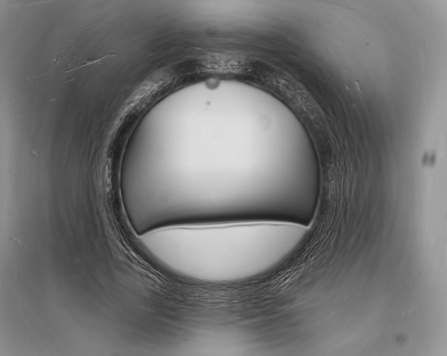 X0000096390731200801241116