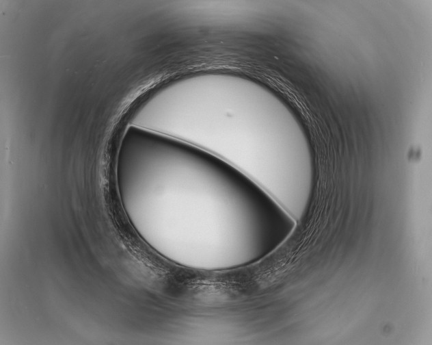 X0000096390732200801241116