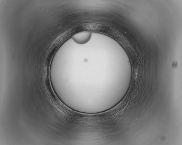 X0000096390733200801241116