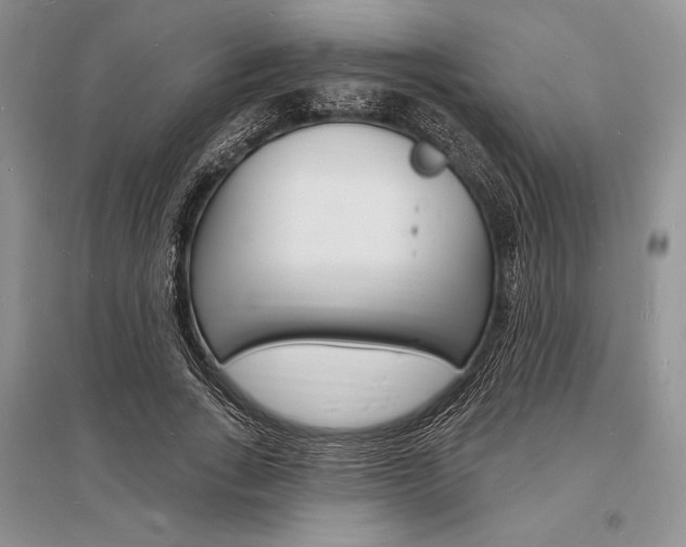 X0000096390735200801241116