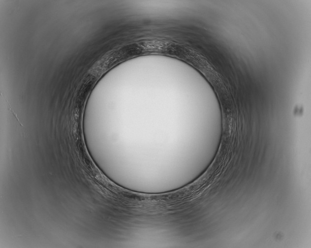 X0000096390737200801241116