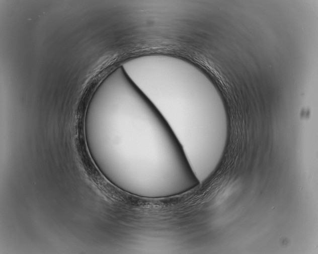 X0000096390738200801241116