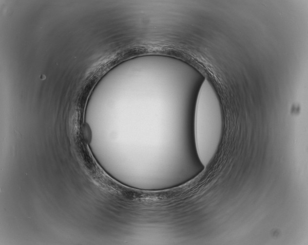 X0000096390740200801241116
