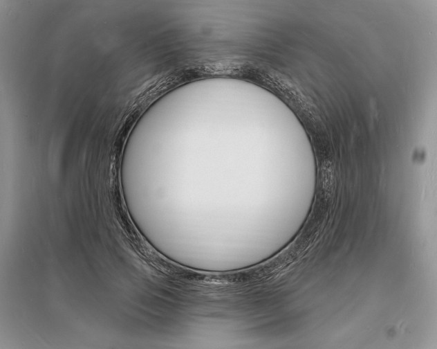 X0000096390741200801241116