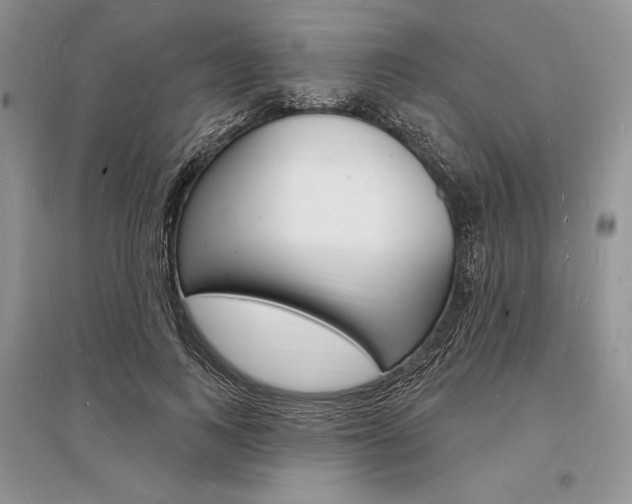 X0000096390743200801241116