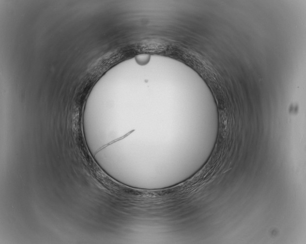 X0000096390745200801241116