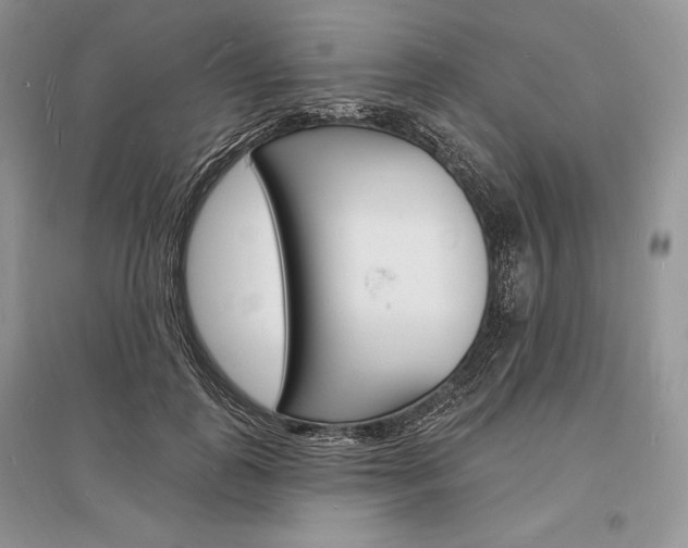 X0000096390747200801241116