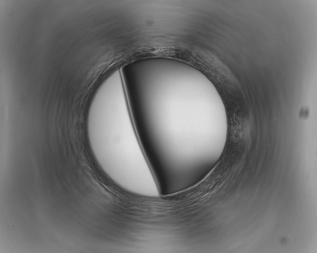 X0000096390748200801241116
