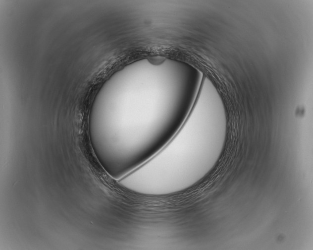 X0000096390750200801241116