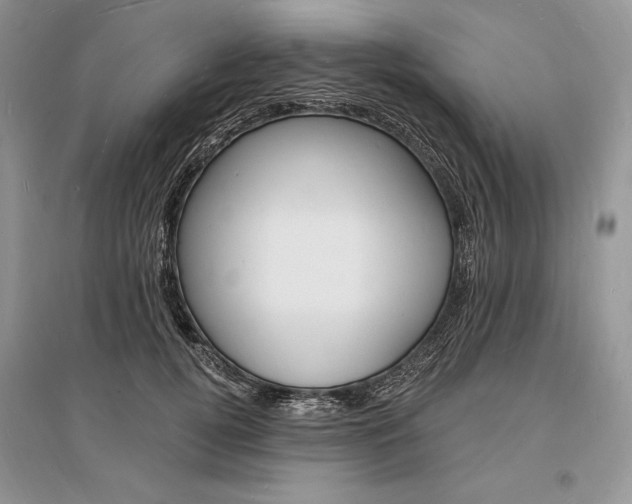 X0000096390752200801241116