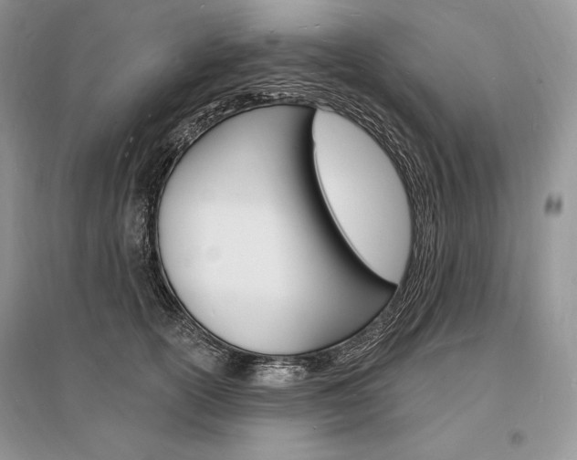 X0000096390754200801241116
