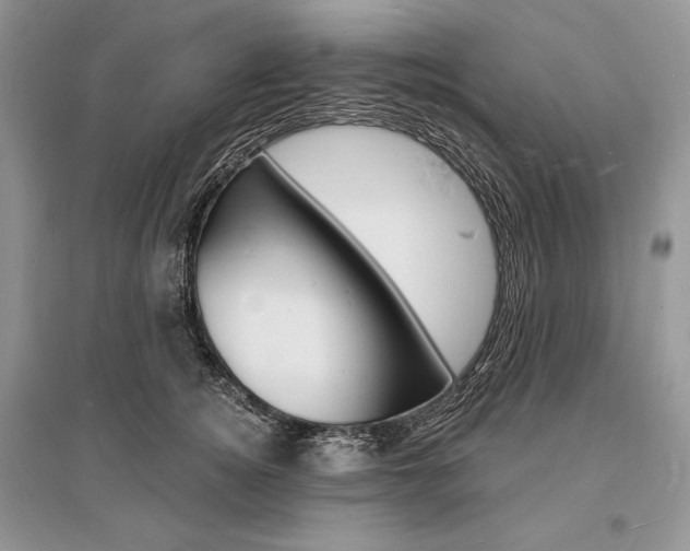 X0000096390756200801241116