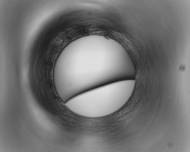 X0000096390763200801241116