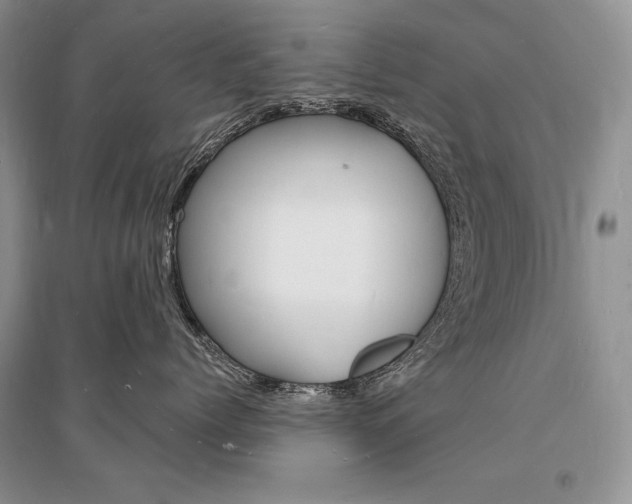 X0000096390768200801241116