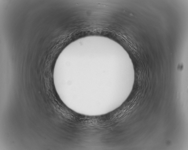 X0000096390769200801241116