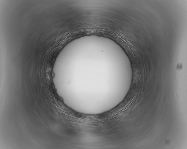 X0000096390770200801241116