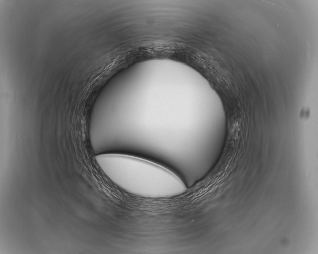 X0000096390772200801241116