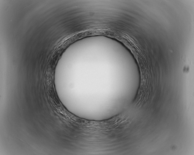 X0000096390773200801241116