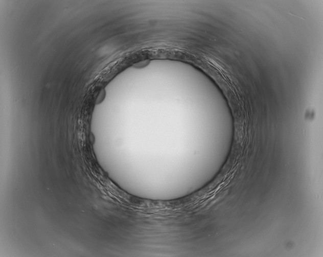 X0000096390774200801241116