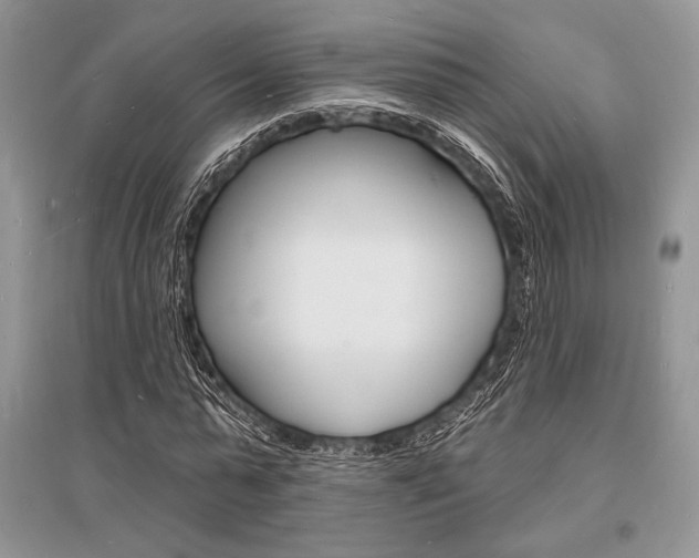 X0000096390775200801241116