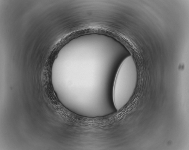 X0000096390776200801241116