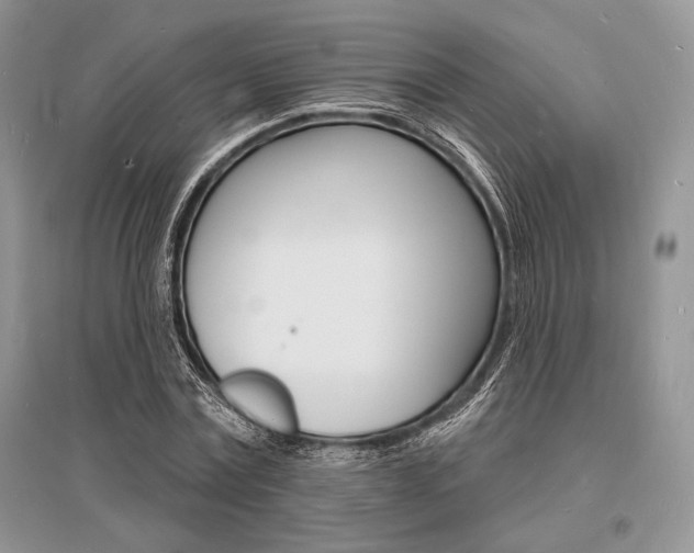 X0000096390779200801241116