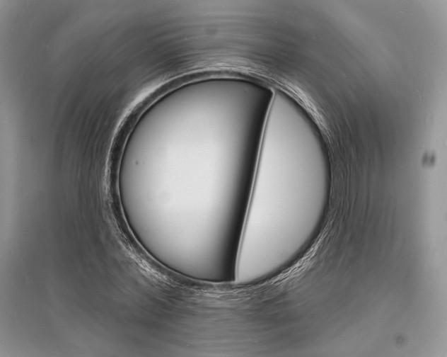 X0000096390780200801241116