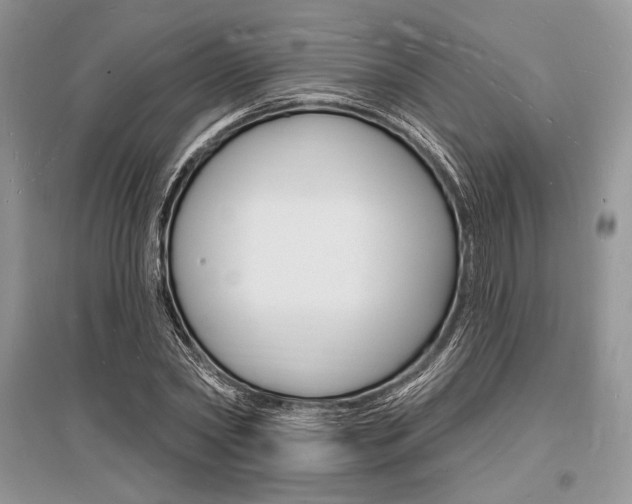 X0000096390782200801241115