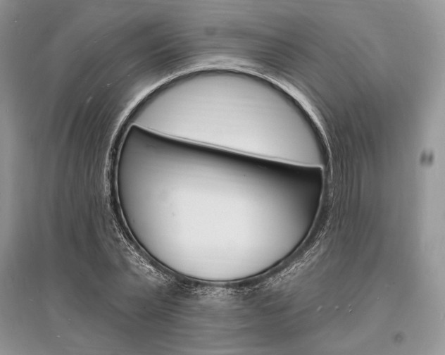 X0000096390783200801241115