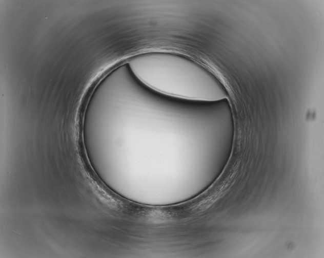 X0000096390787200801241115