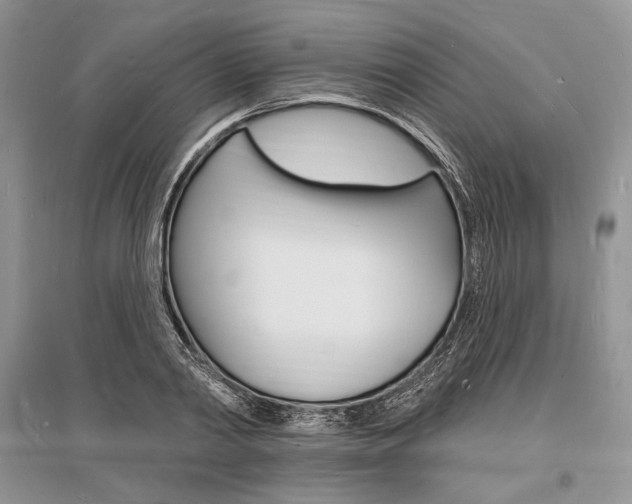 X0000096390790200801241115