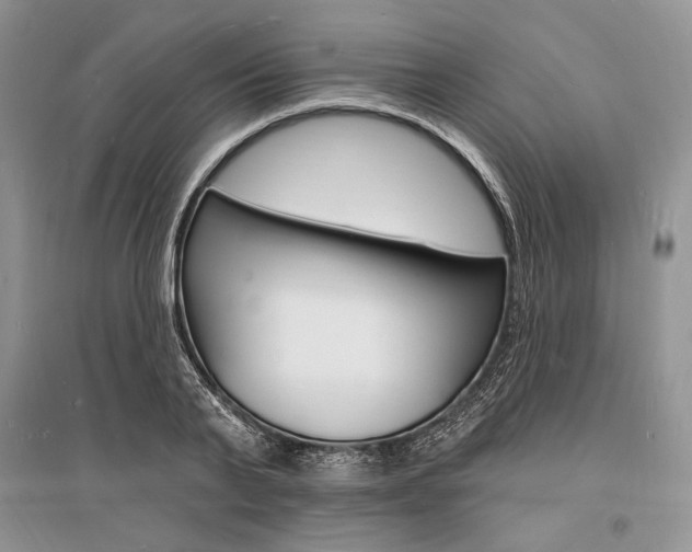 X0000096390791200801241115