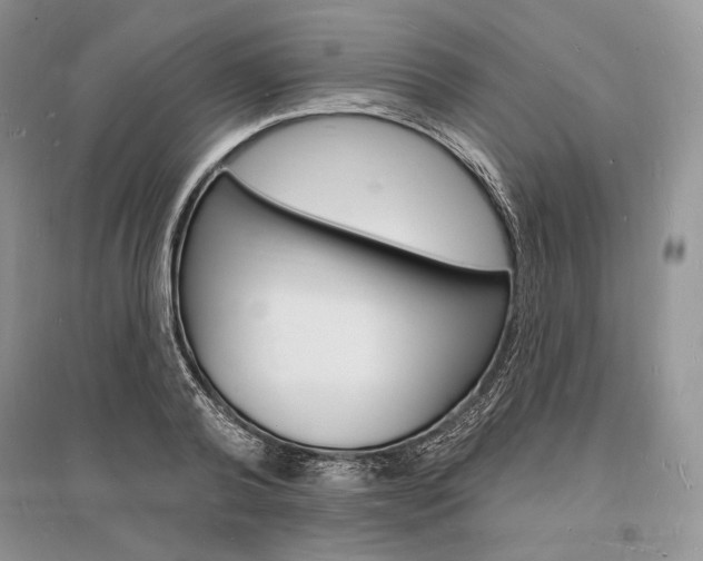 X0000096390792200801241115