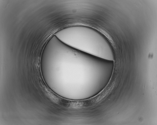 X0000096390793200801241115