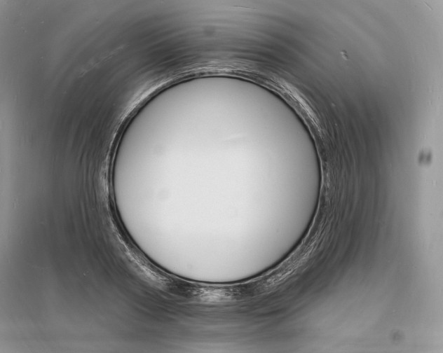 X0000096390794200801241115